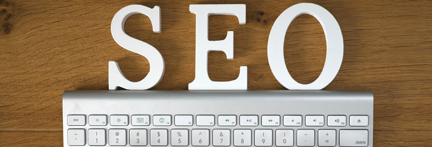 Expert SEO